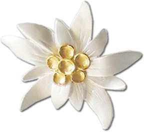 Edelweiss PNG-66295